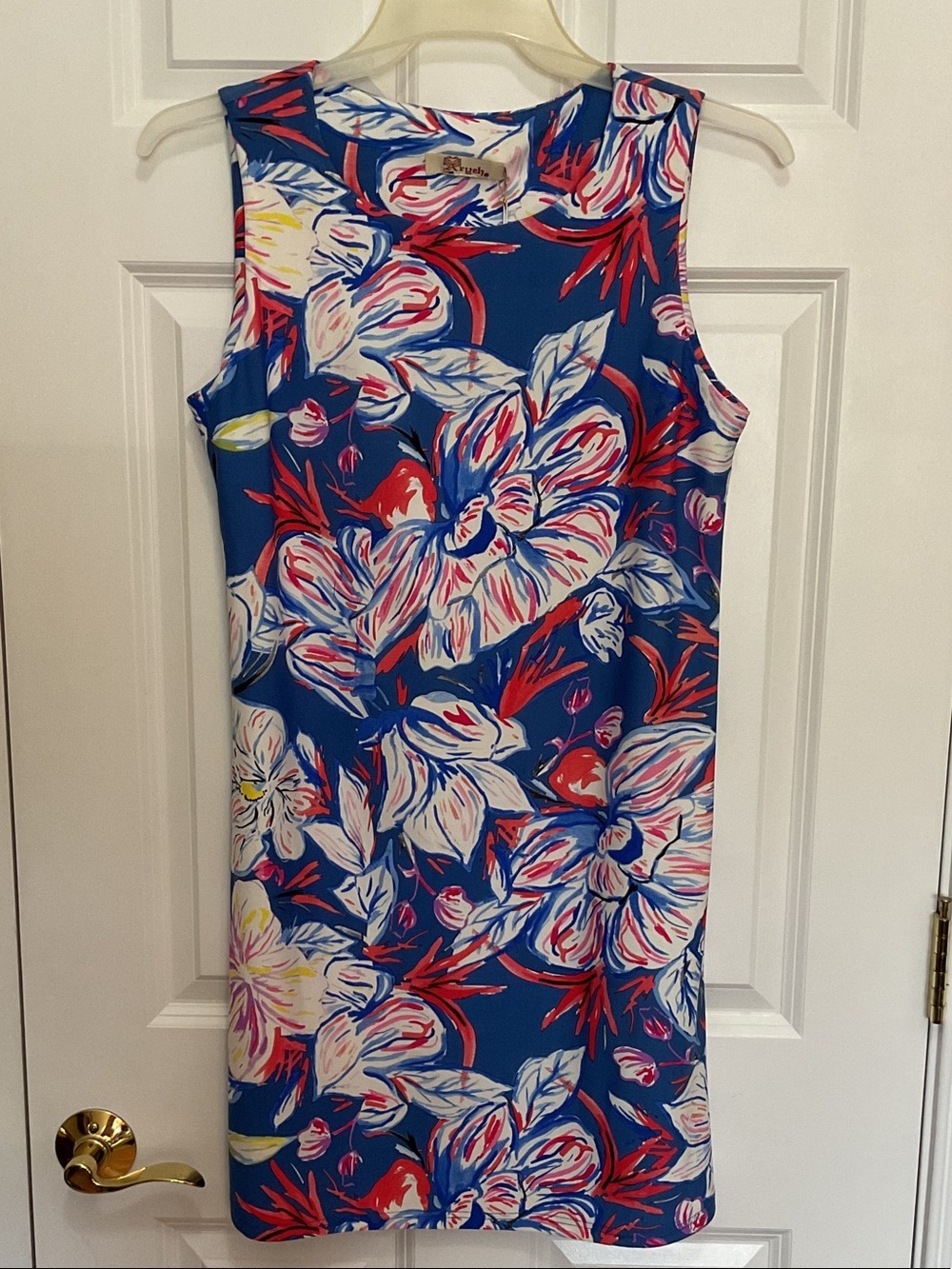 Aryeh Blue Floral Sleeveless Mini Dress